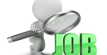 government jobs career guide